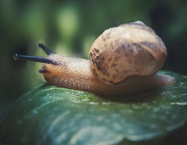 拥抱美好的30条励志话：心有暖阳，何惧风霜